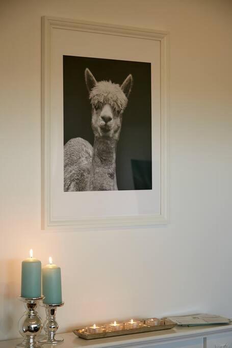 Gaestesuite Am Lindenhof Bruchhausen  ภายนอก รูปภาพ